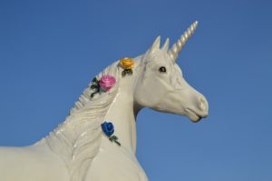 Unicorn boy? Toto jste ještě neviděli!